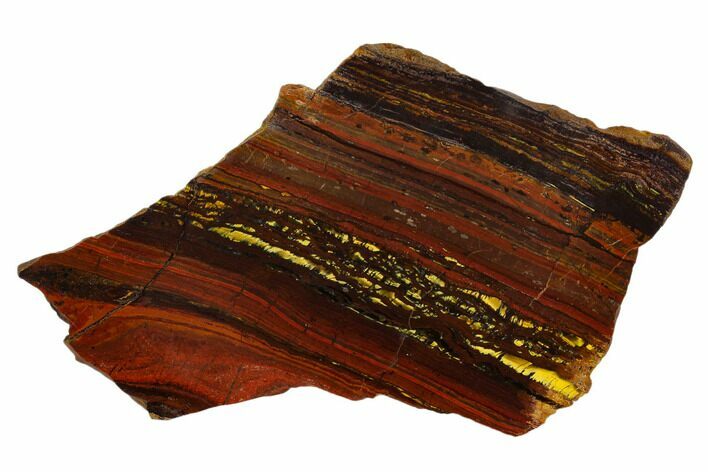 Polished Tiger Iron Stromatolite - Billion Years #129300